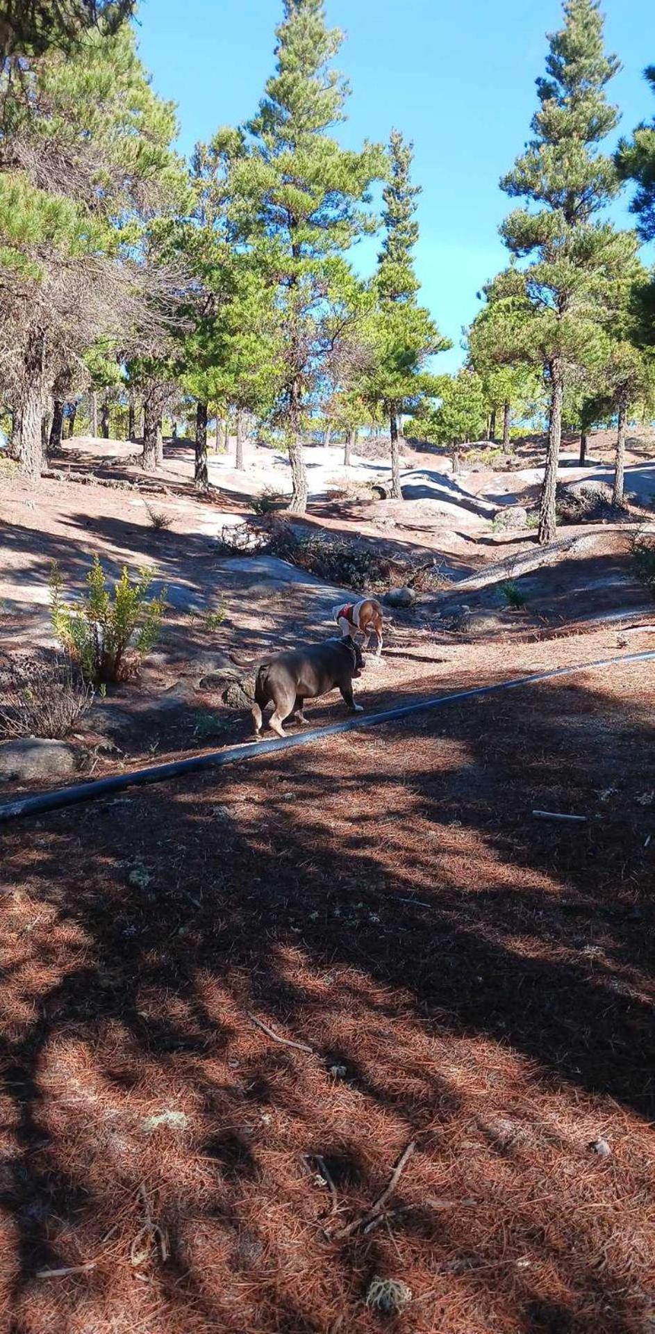 דירות וגה דה סן מטאו Casa Azul Mountain Retreat מראה חיצוני תמונה